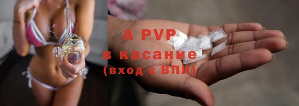 гашик Майский