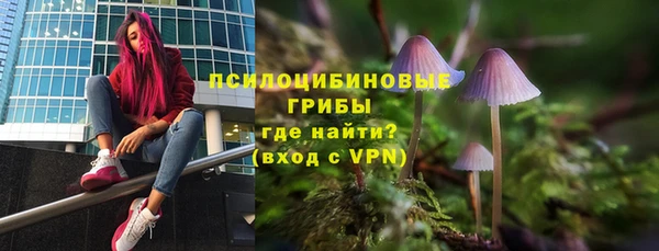 а пвп мука Магас