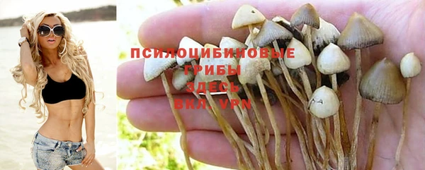 дурь Магадан