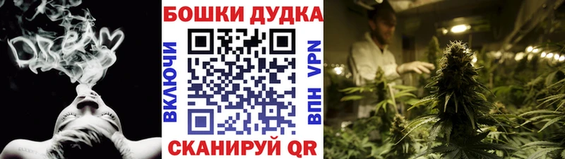Купить где  Алексеевка  МАРИХУАНА планчик 